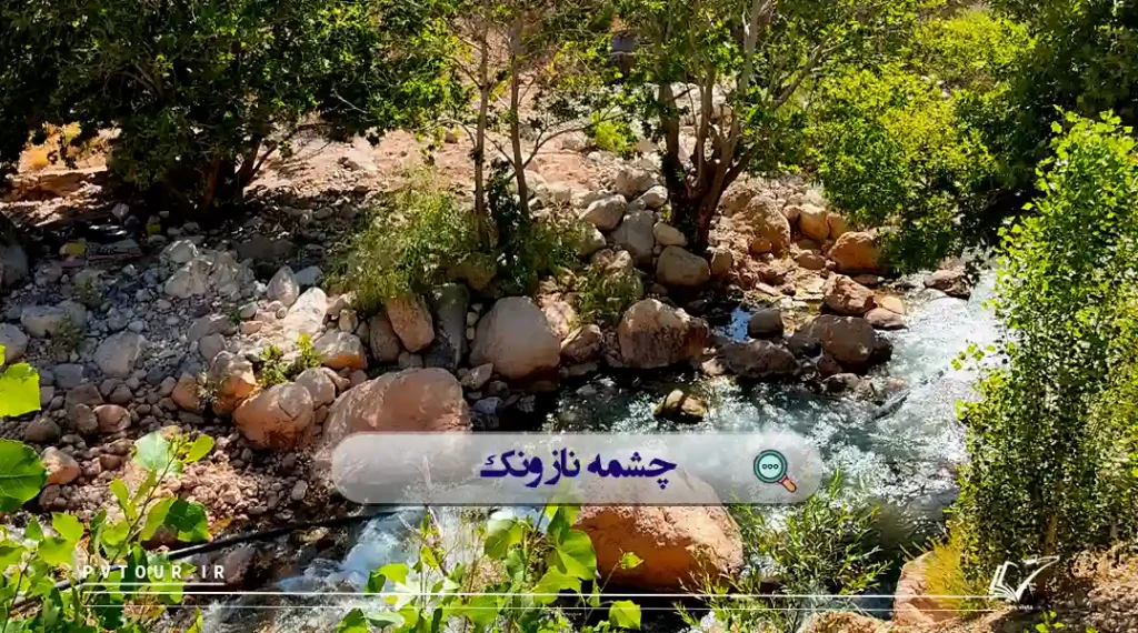 تصویری از چشمه ناز ونک در شهرستان سمیرم؛ یکی از بهترین ییلاقات اصفهان
